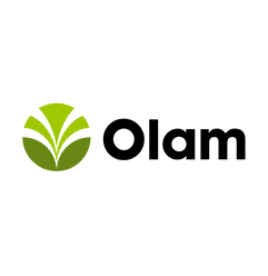 Olam